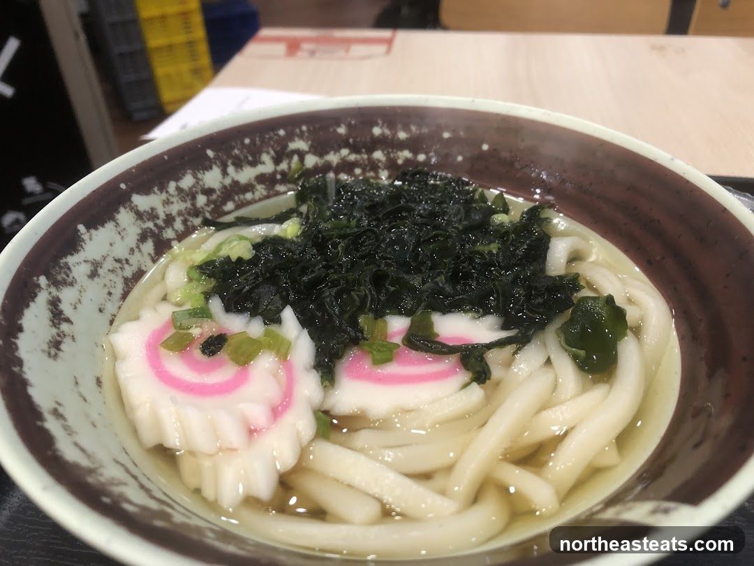 Udon Noodle Soup
