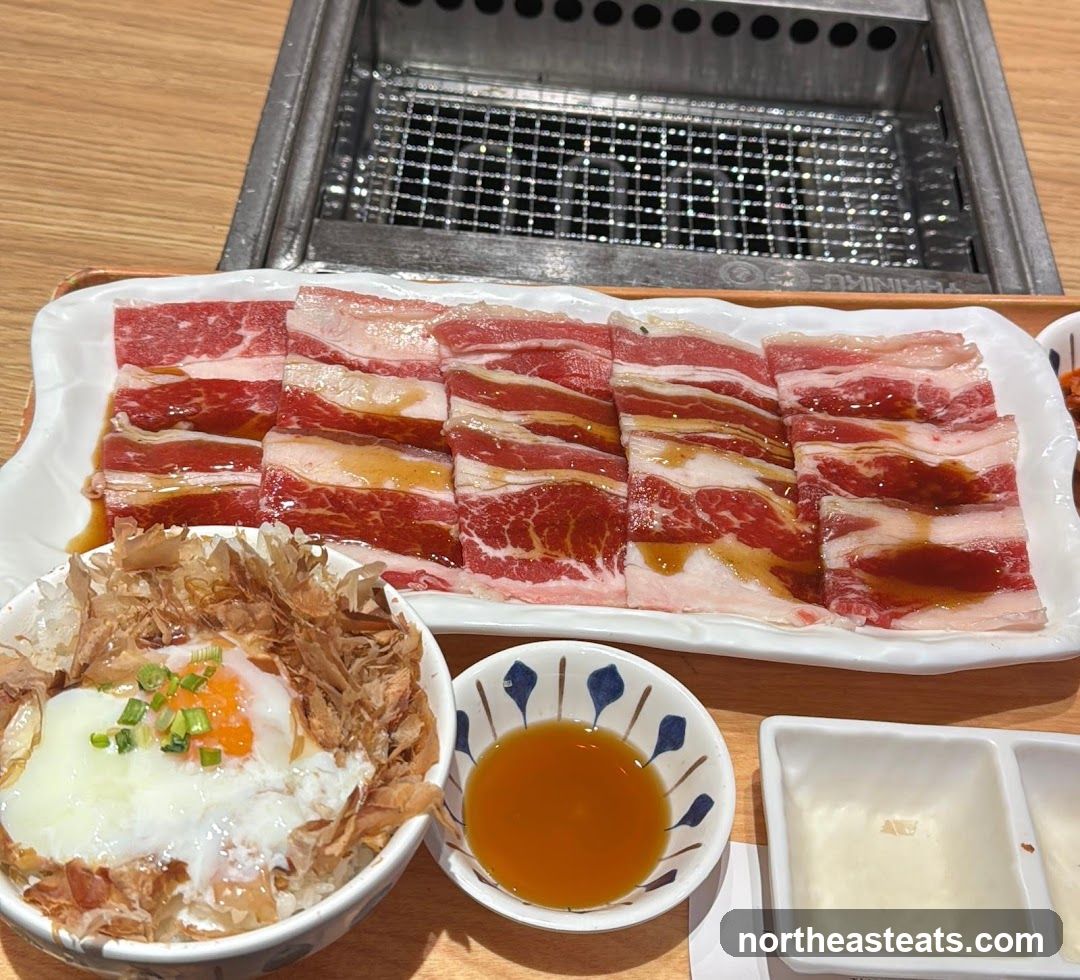 Marinated Beef Slices with Rice Bowl