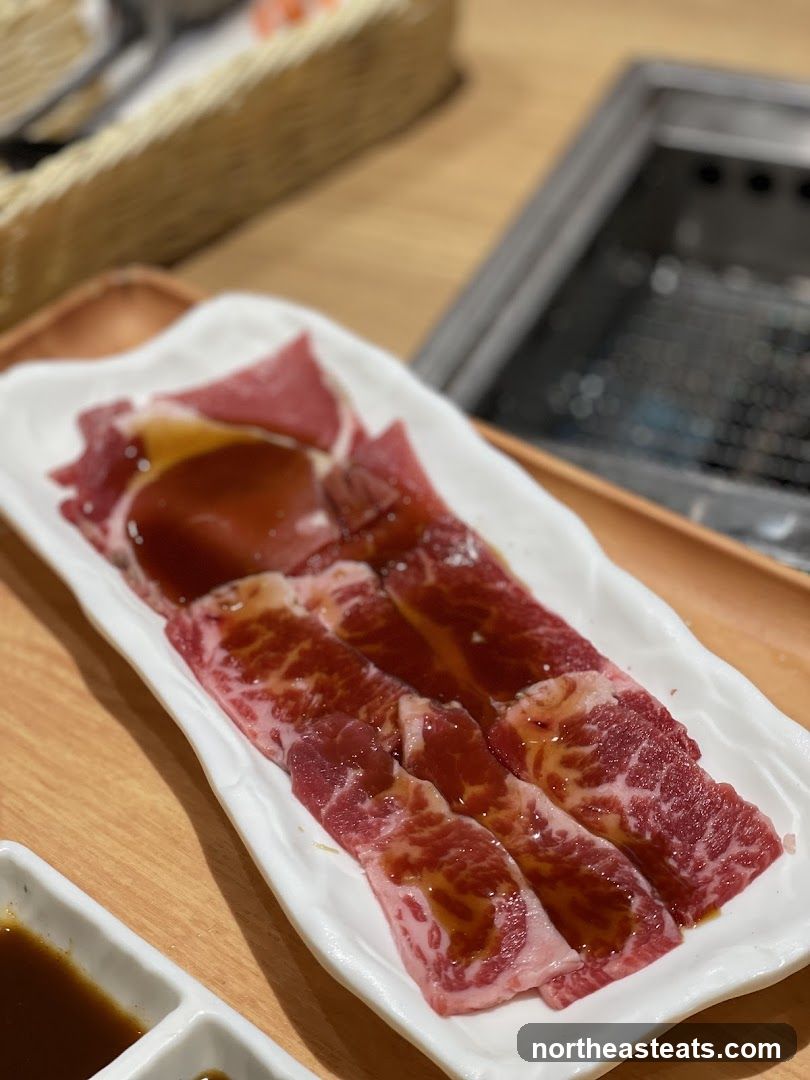 Marinated Sliced Beef