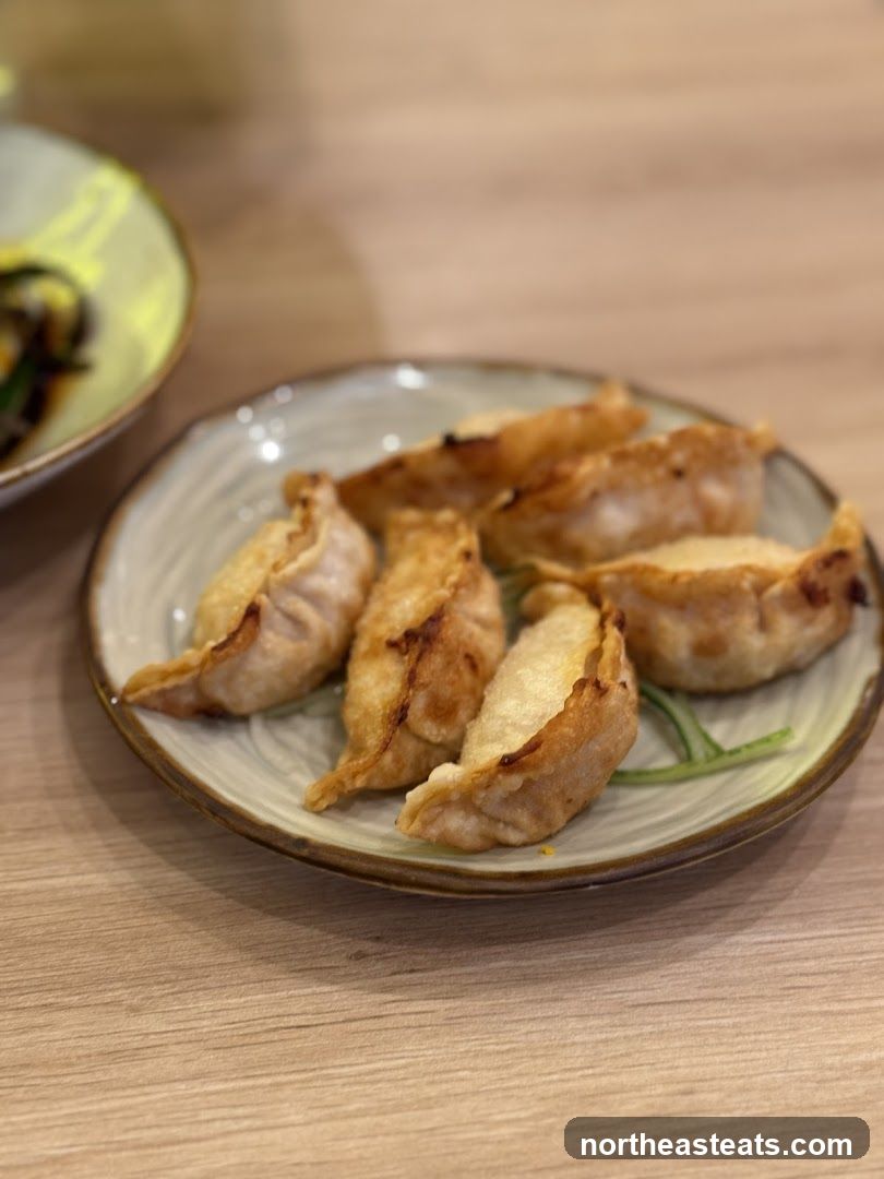Fried Dumplings
