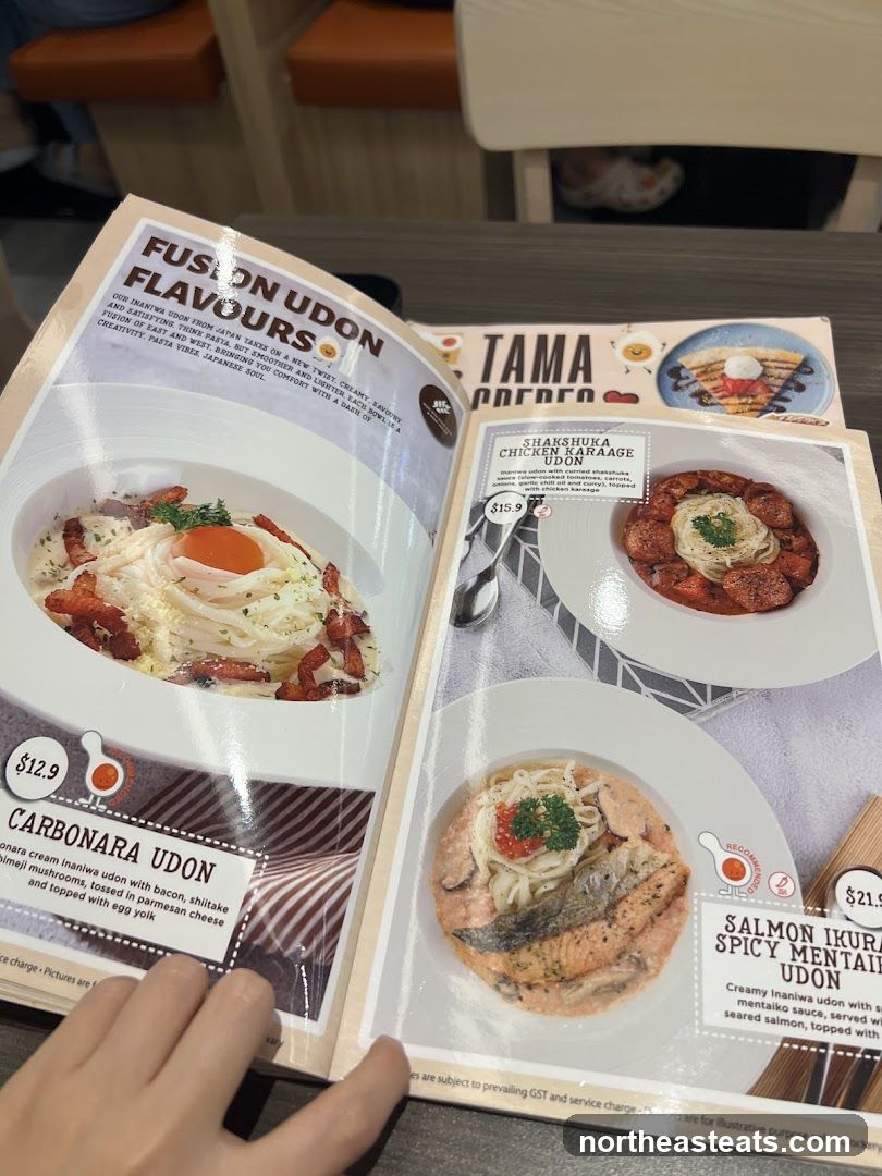 Fusion Udon Flavours