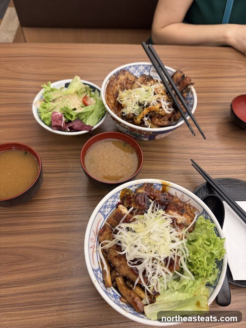 Japanese Rice Bowls