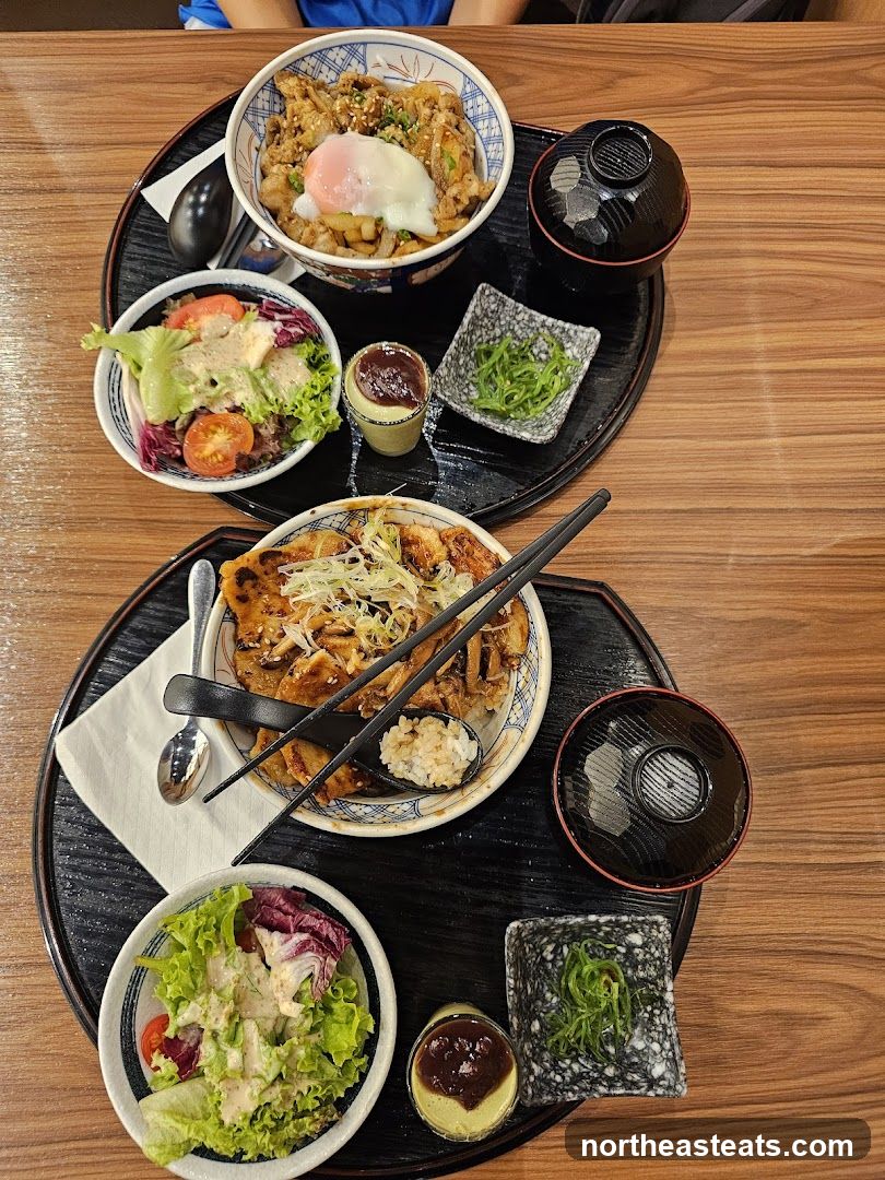 Japanese Rice Bowls