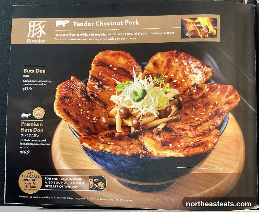 Tender Chestnut Pork