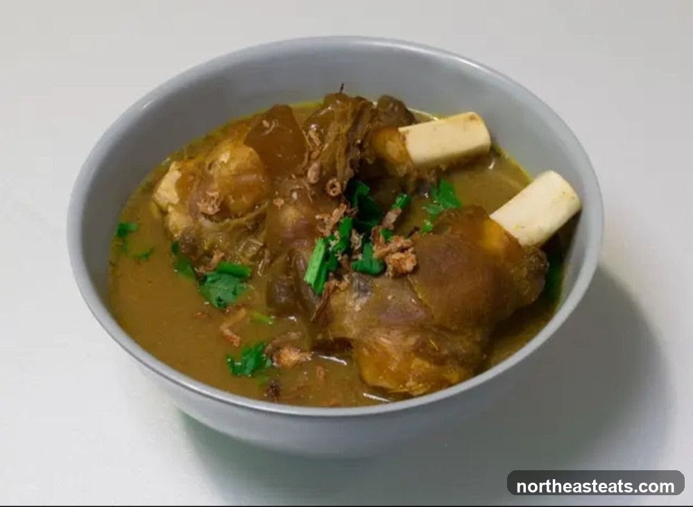 Bowl of Beef Shank Soup