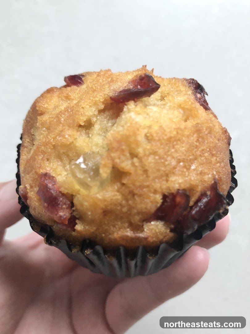 Cranberry Muffin