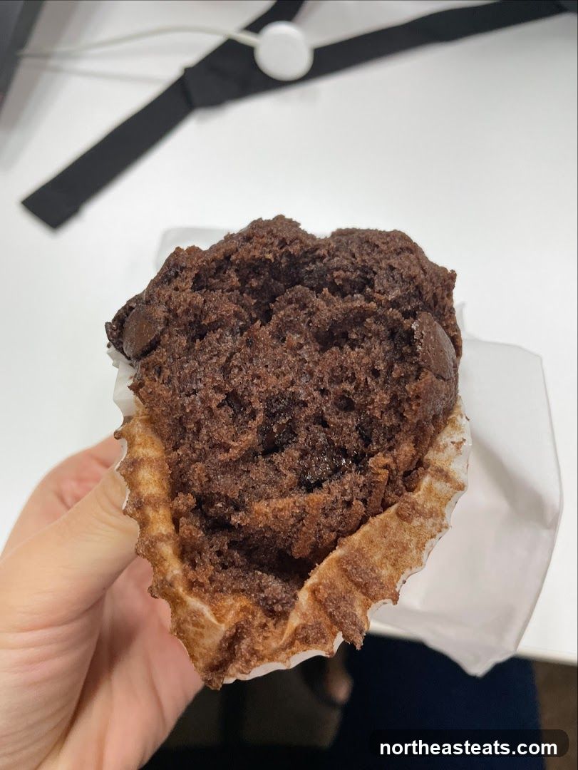 Chocolate Muffin