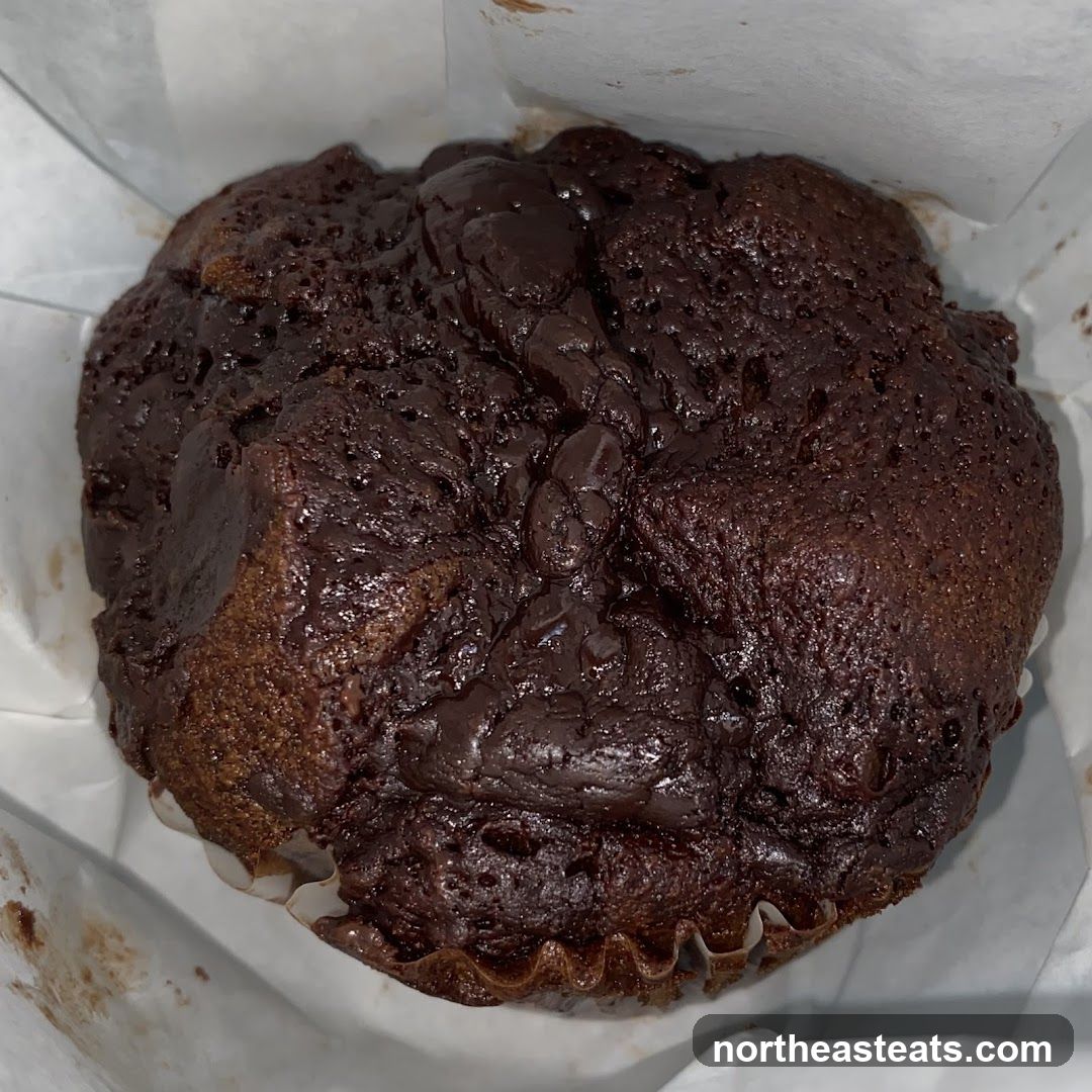 Chocolate Muffin