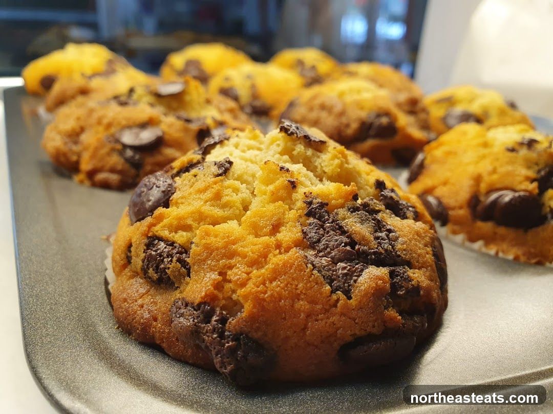 Chocolate Chip Muffins