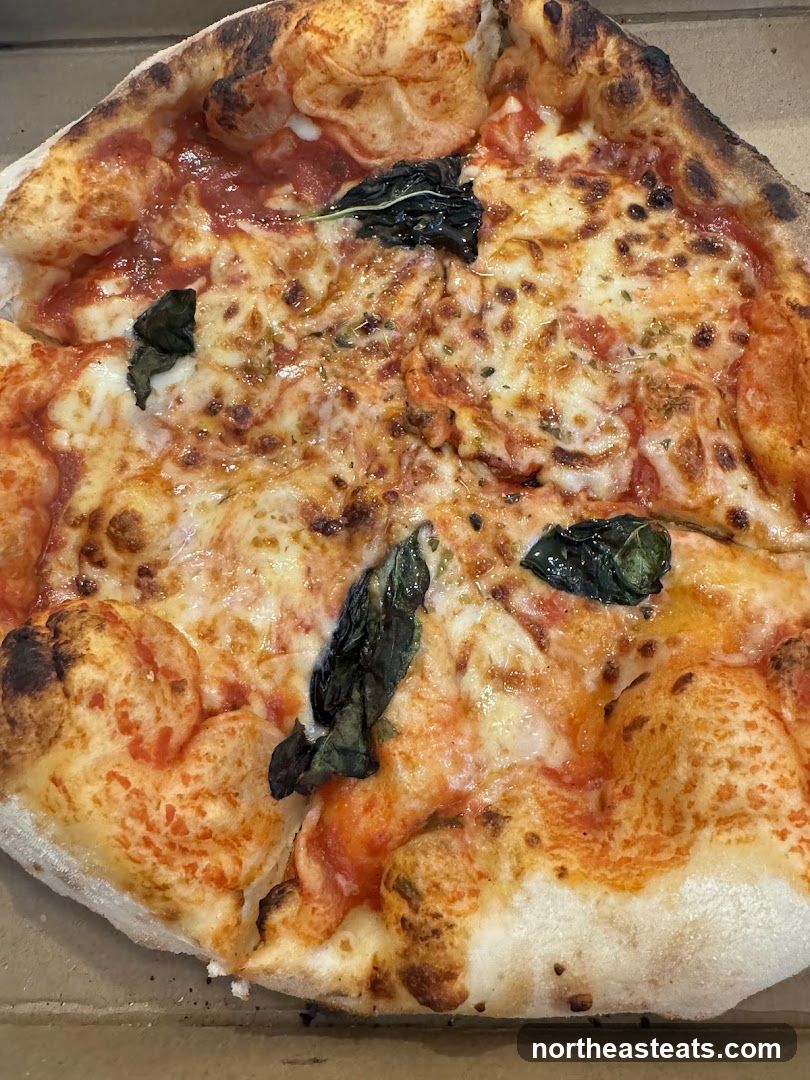 Margherita Pizza