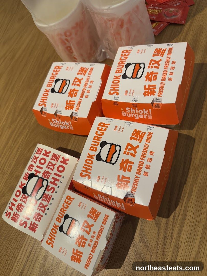 Shiok Burger Takeout Boxes