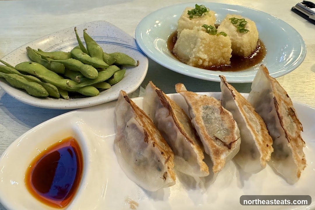 Japanese Appetizers