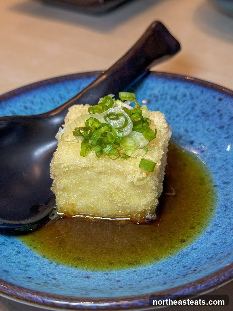 Fried Tofu with Scallions