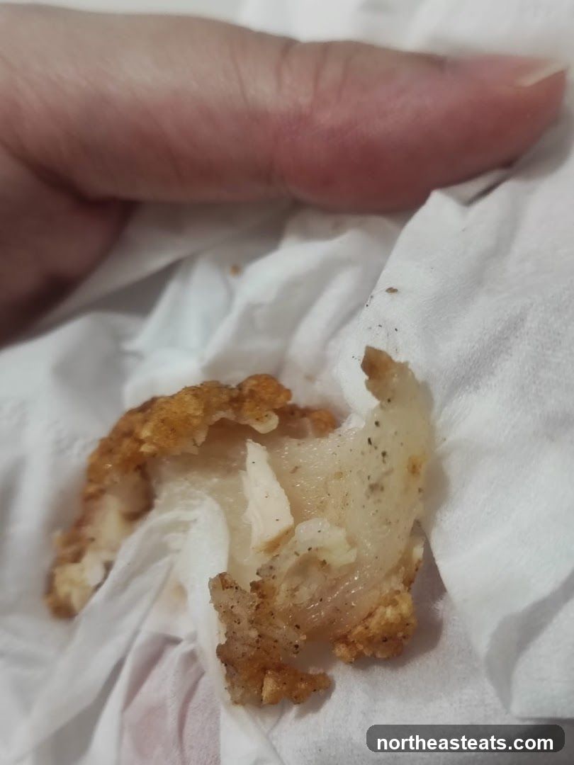 Fried Chicken Piece