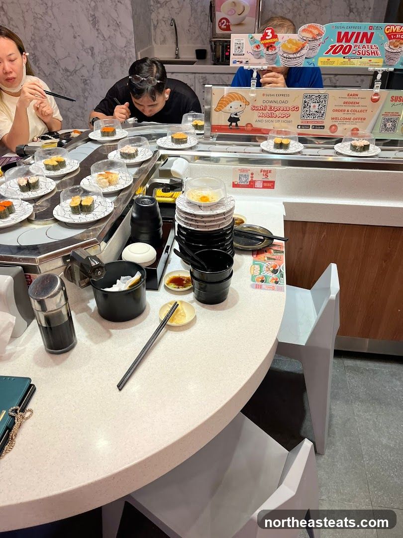 Sushi Conveyor Belt