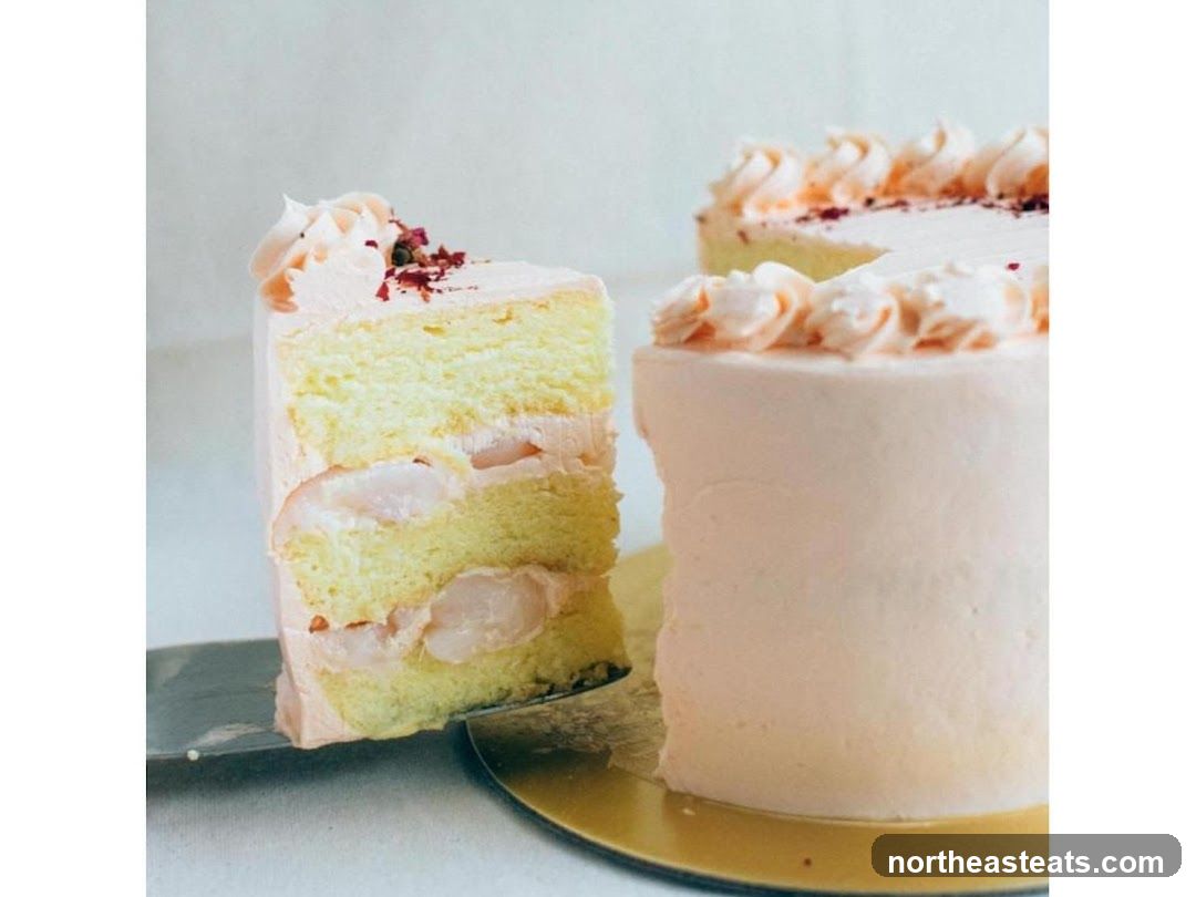 Edith Patisserie - Serangoon Gardens
