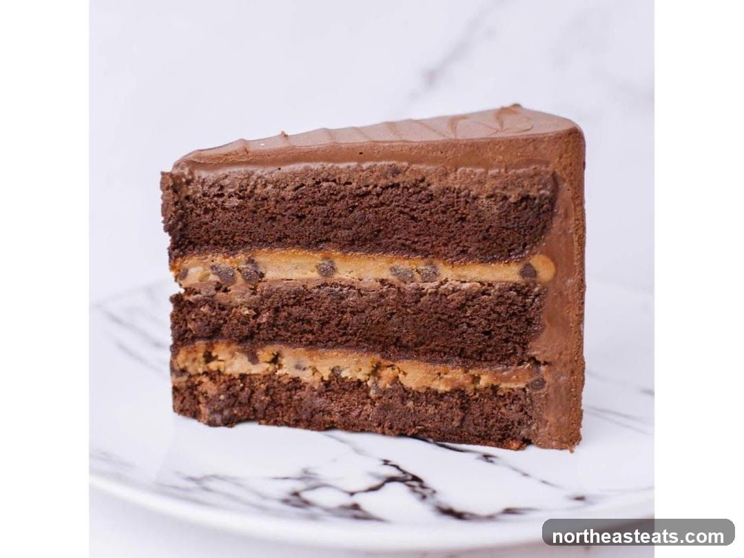 Chocolate Cake Slice