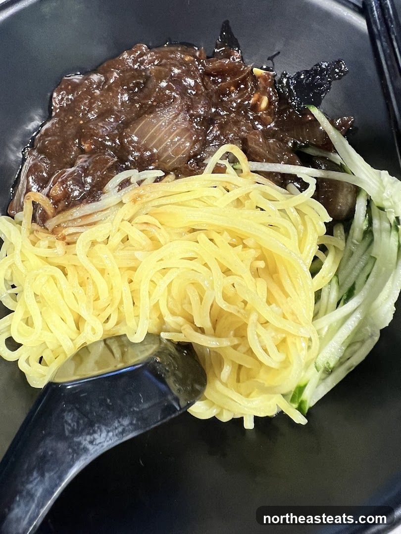 Noodles with Dark Sauce