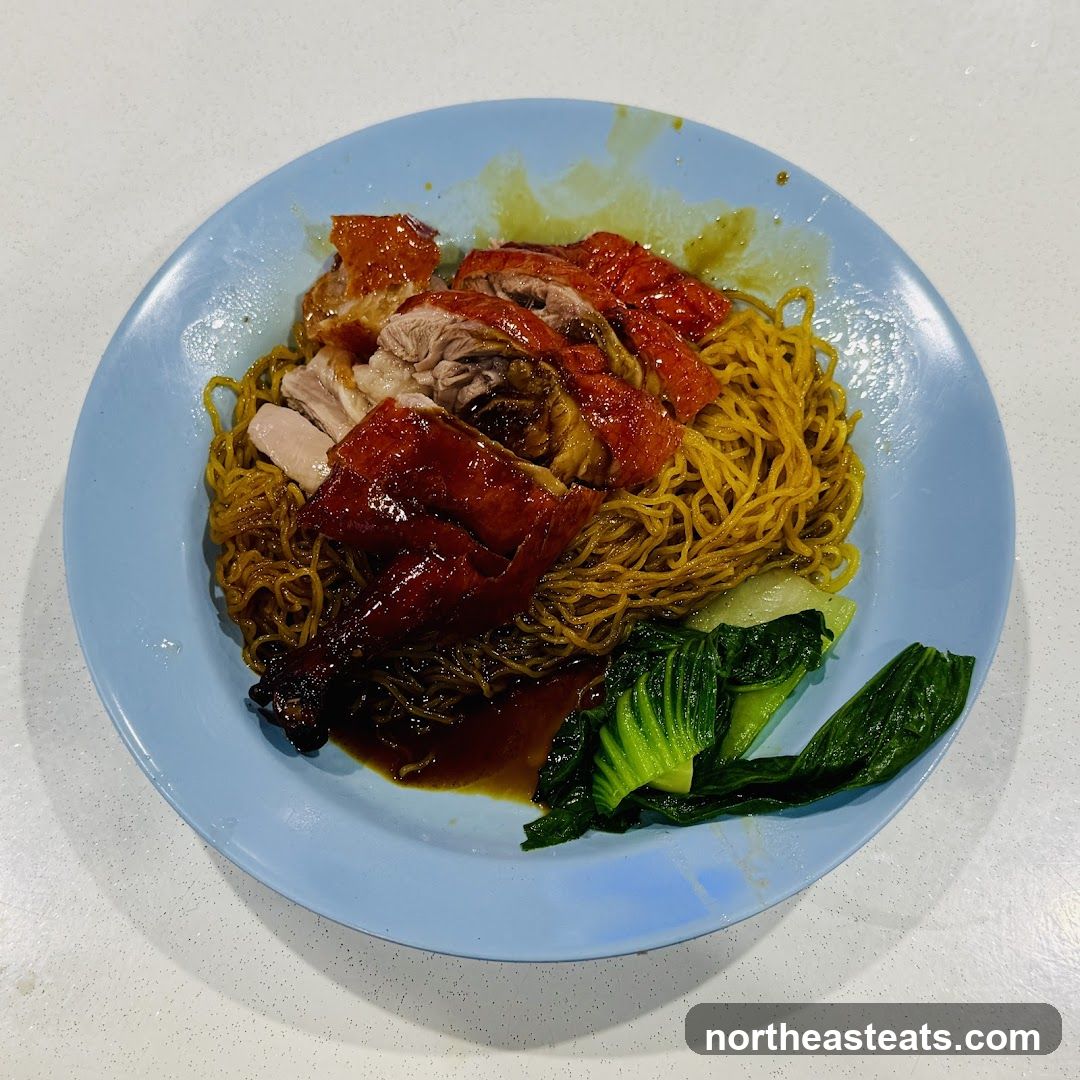 Roast Duck Noodles