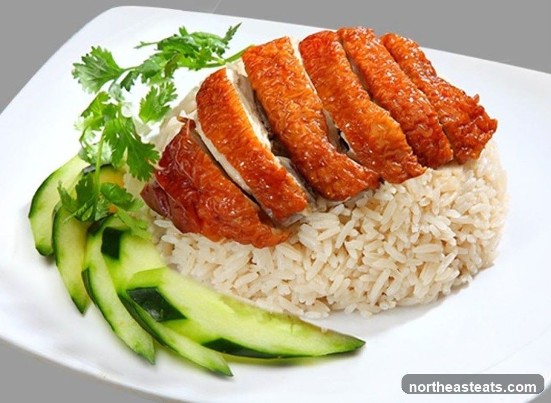 Roasted Duck Rice