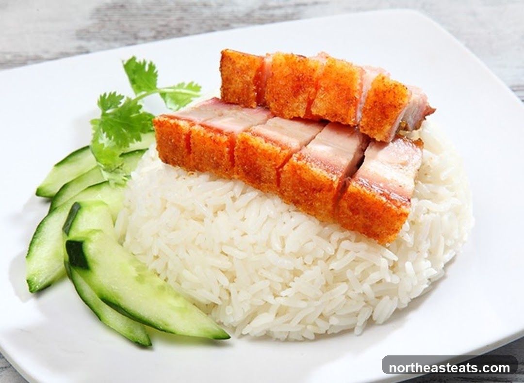 Crispy Pork Belly with Rice