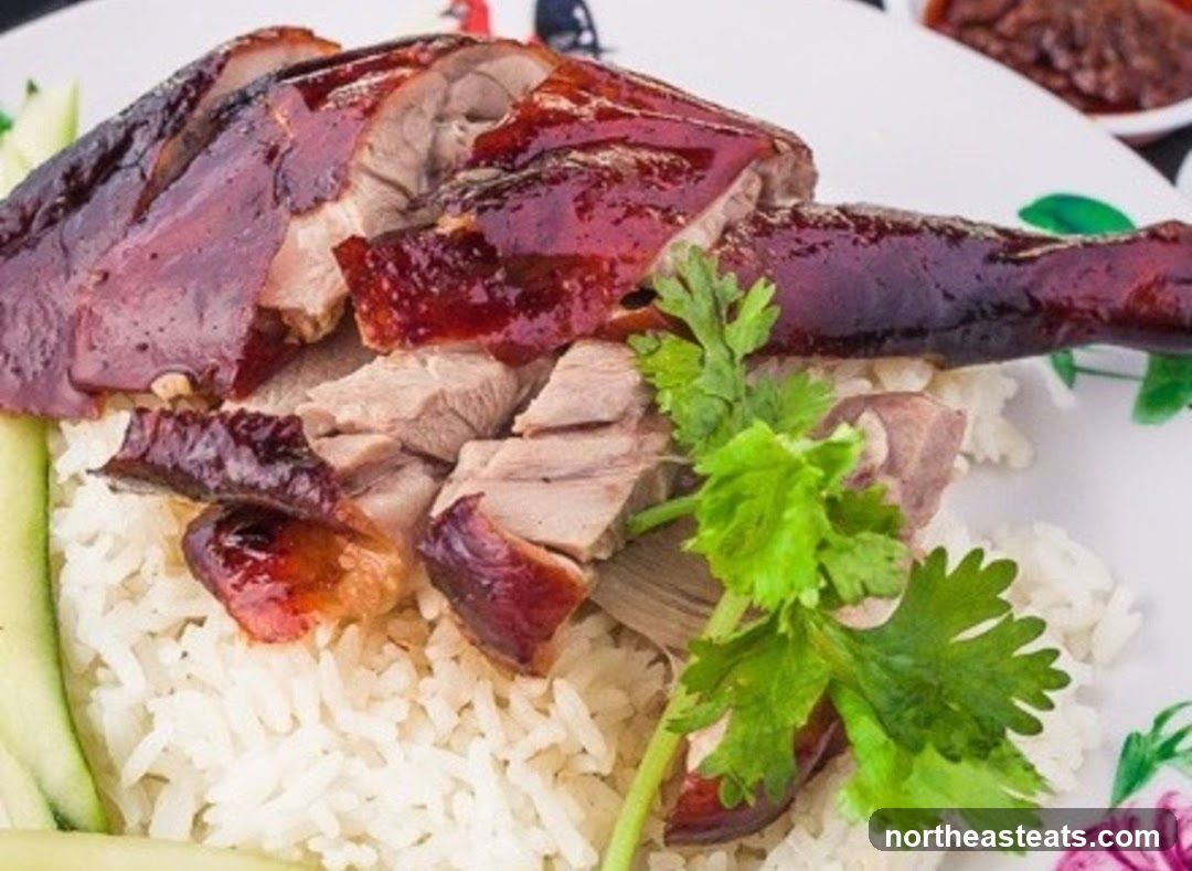 Roast Duck with Rice