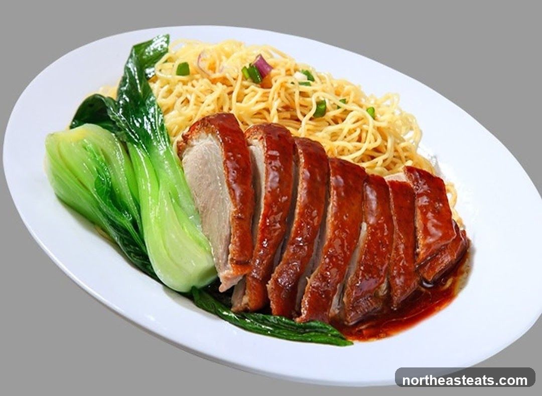 Roast Duck Noodles