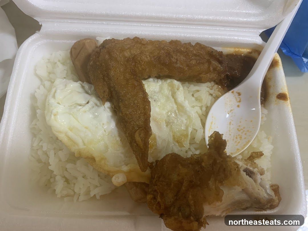 Tian Tian Nasi Lemak