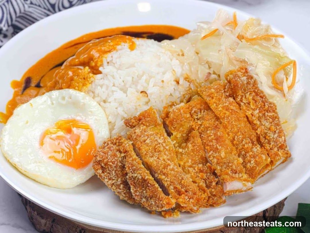 Roadside Stall • Malaysia Curry Rice