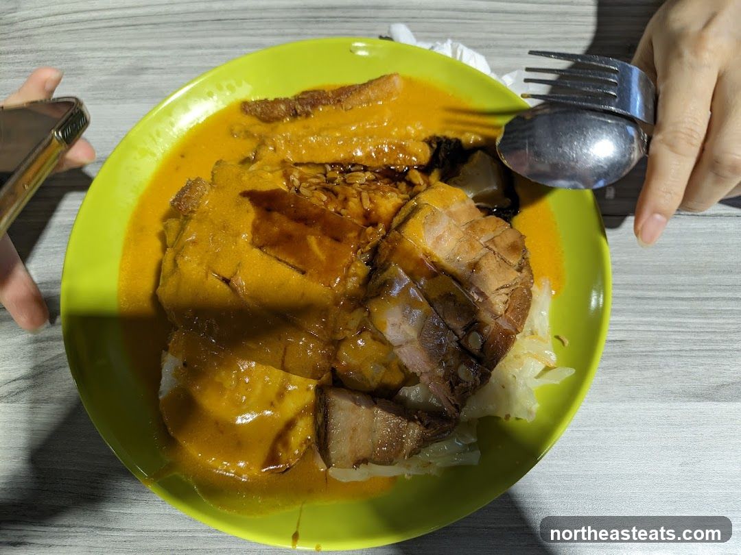 Curry Rice with Roasted Pork