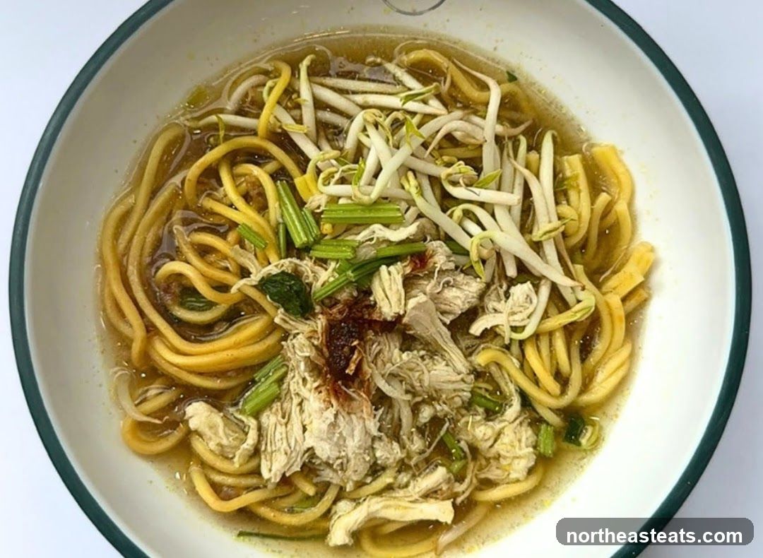 Noodle Soup with Shredded Chicken