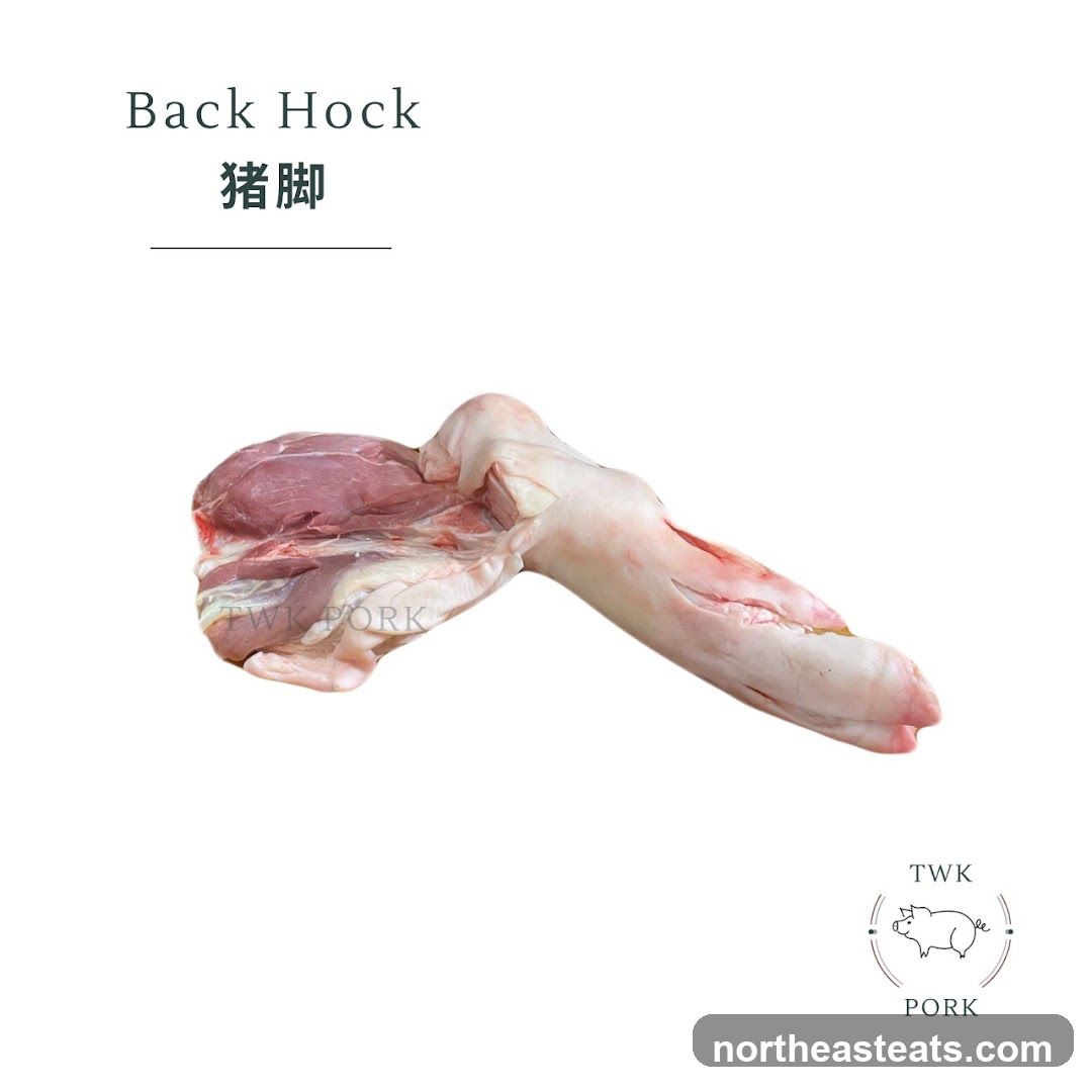 Back Hock