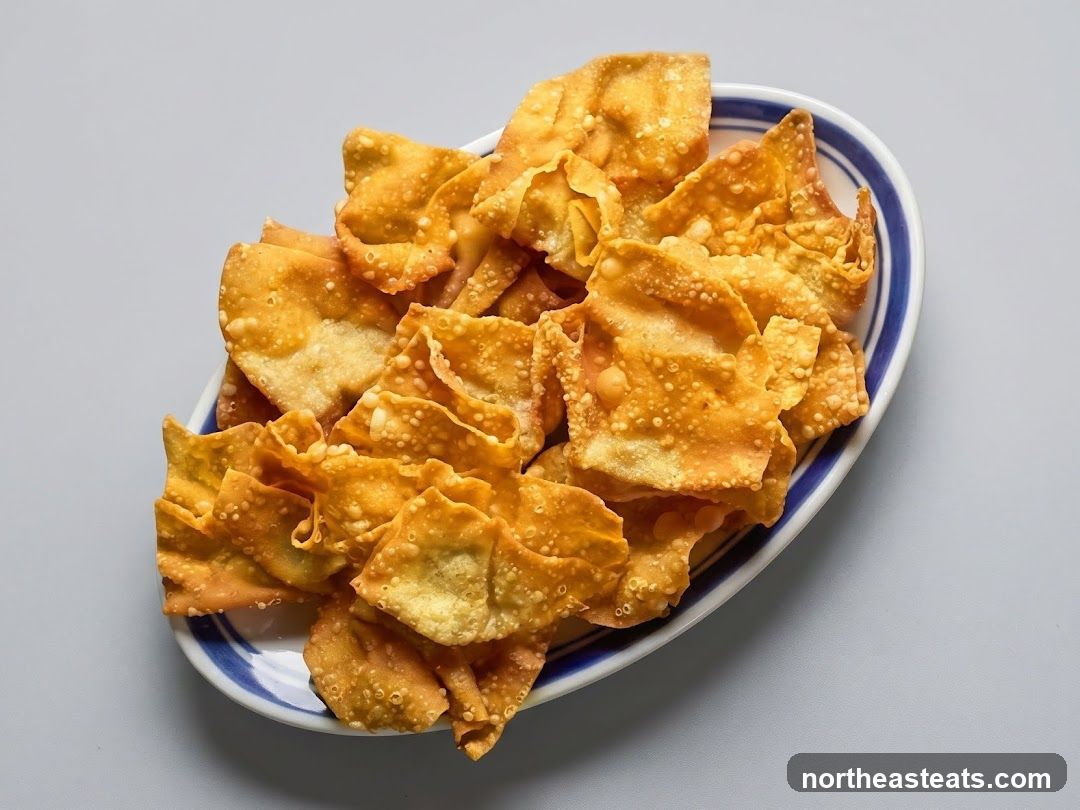 Fried Wonton Chips