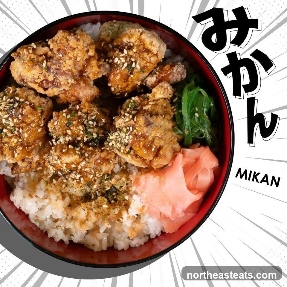 Karaage Donburi
