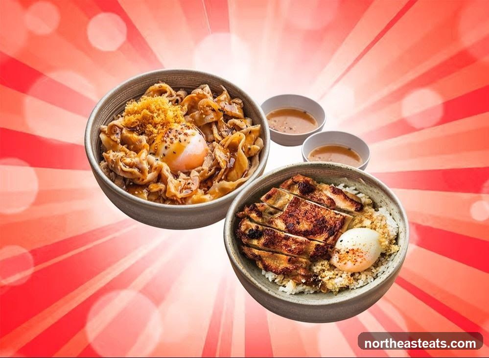 Ishiro Fusion Bowl ( Hougang )