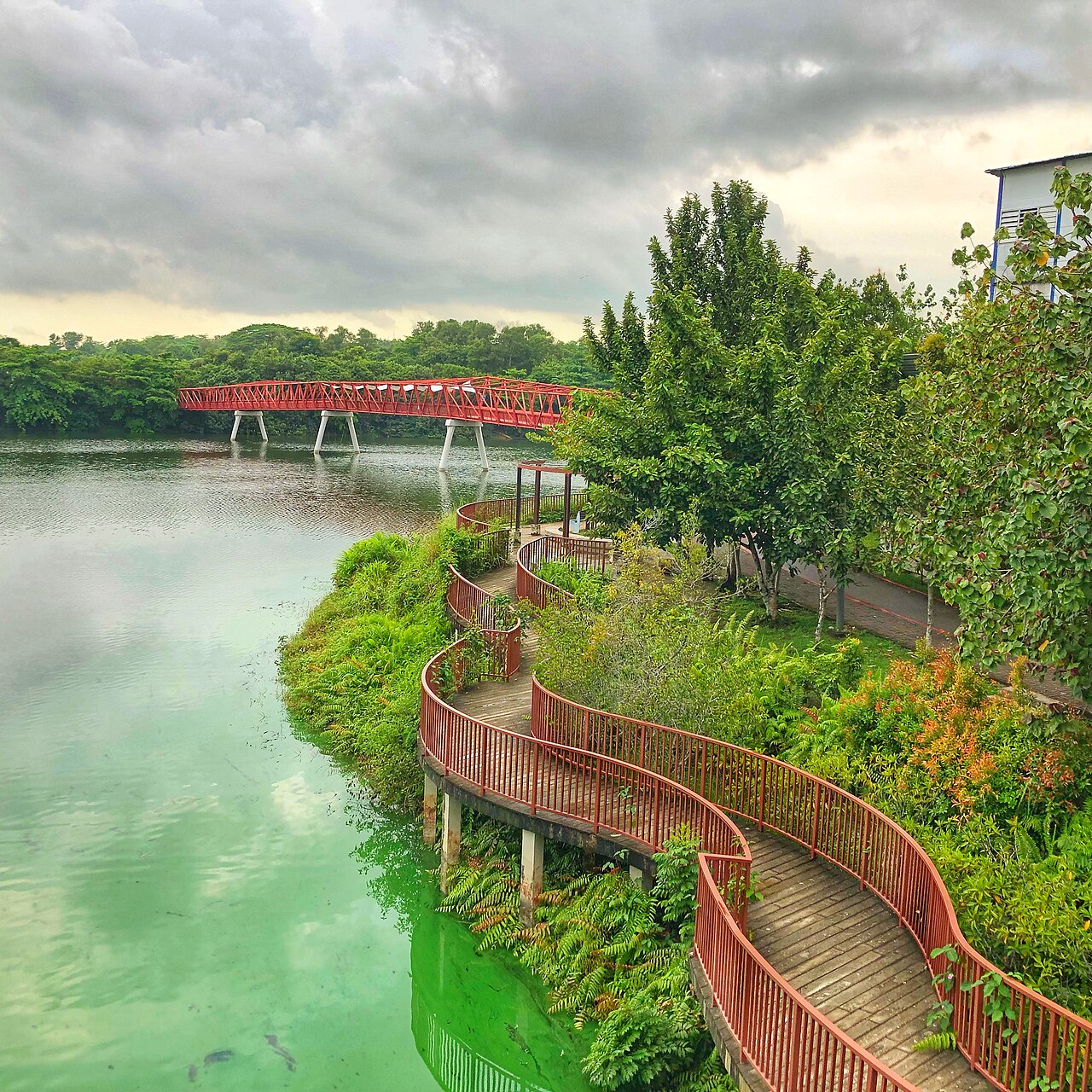Punggol Waterway Park pedestrian bridge and waterway